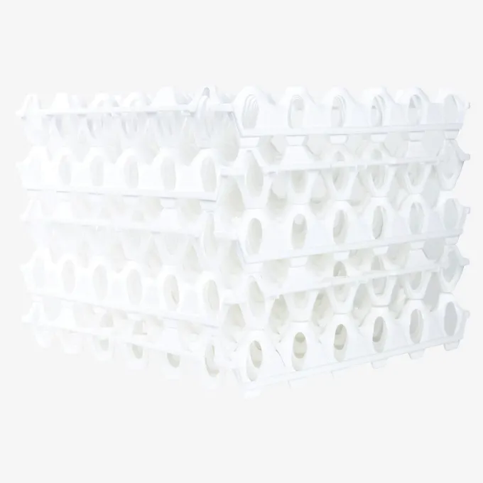 Alvéoles Blanches 30 œufs - Lot de 6 - Gilac