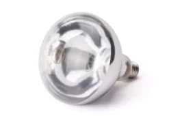 Ampoule infrarouge chauffante Blanche 230V/250W 125x(H)170 mm - Hendi