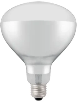 Ampoule infrarouge chauffante Blanche 230V/250W 125x(H)170 mm - Hendi