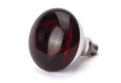 Ampoule infrarouge chauffante Rouge 230V/250W 125x(H)170 mm - Hendi