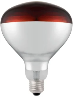 Ampoule infrarouge chauffante Rouge 230V/250W 125x(H)170 mm - Hendi