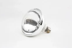 Ampoule pour Lampe Chauffante 250 W - Combisteel