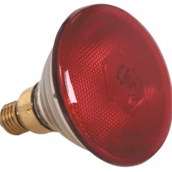 Ampoule Seule Rouge 175 W - Pujadas