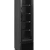 Armoire à Boissons FSC175H - Couleur Noir - Tefcold