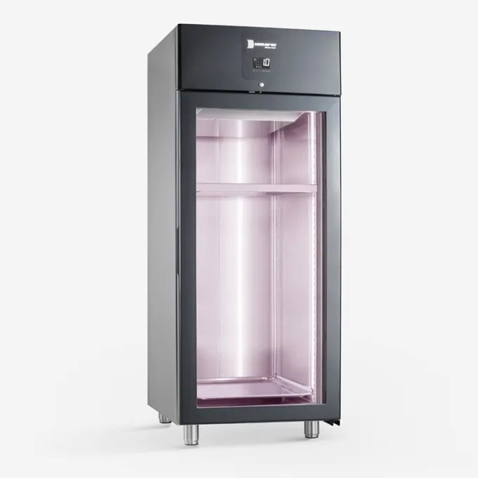 Armoire de Maturation et Affinage à Viande Noire avec Barre 876 L Porte Vitrée - Deluxe Meat - Samaref