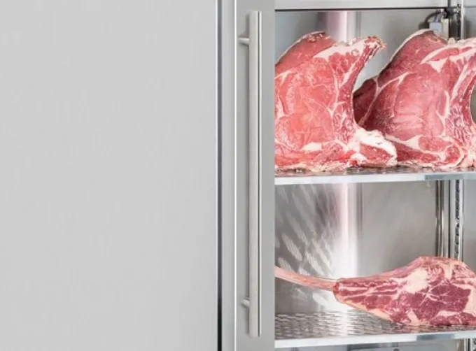 Armoire de Maturation et Vieillissement à Viande 458 Litres - Cool Head