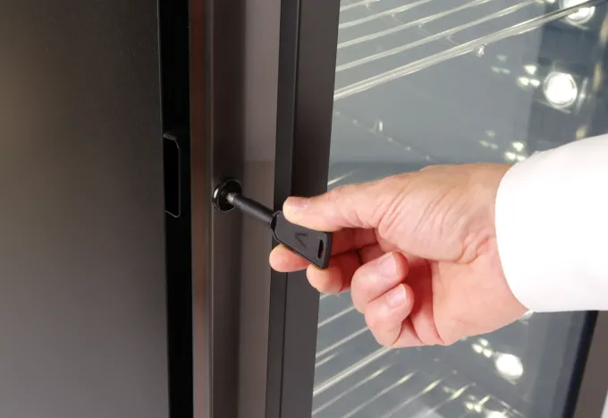 Armoire de Maturation à Viande Arktic Inox 170W - Hendi