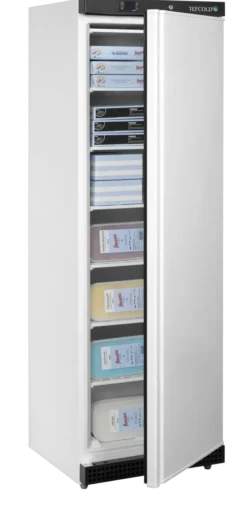 Armoire négative professionnelle de stockage UF400 - Tefcold