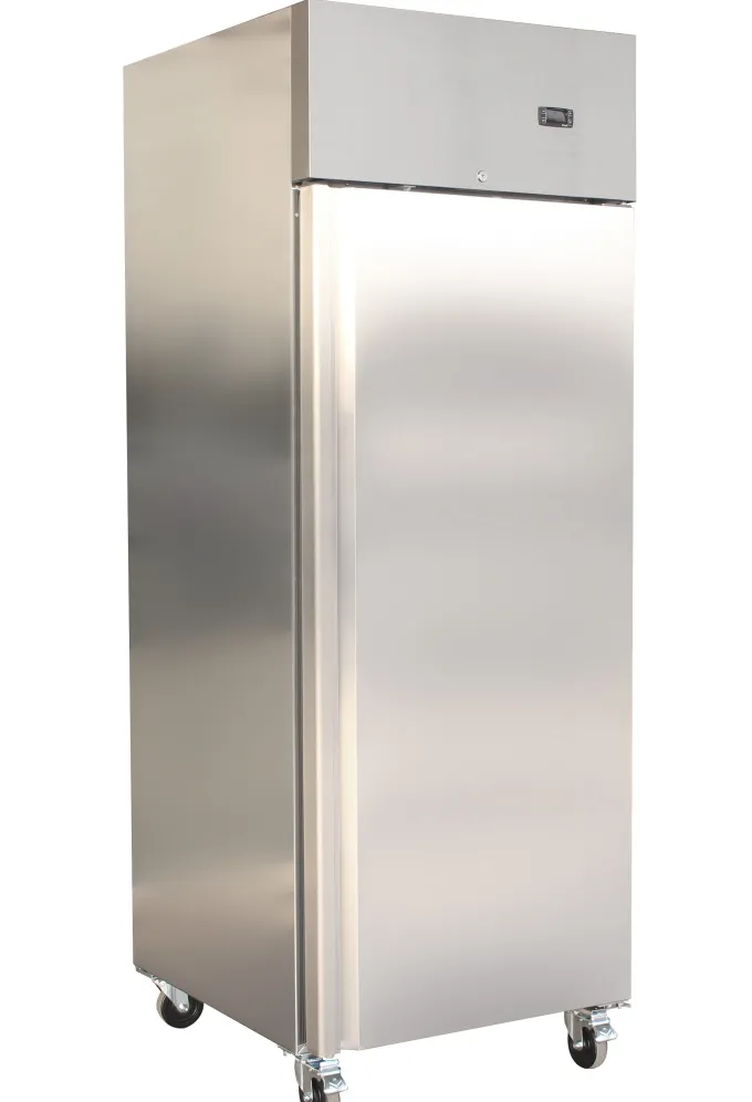 Armoire positive 600L avec 1 porte pleine - L2G