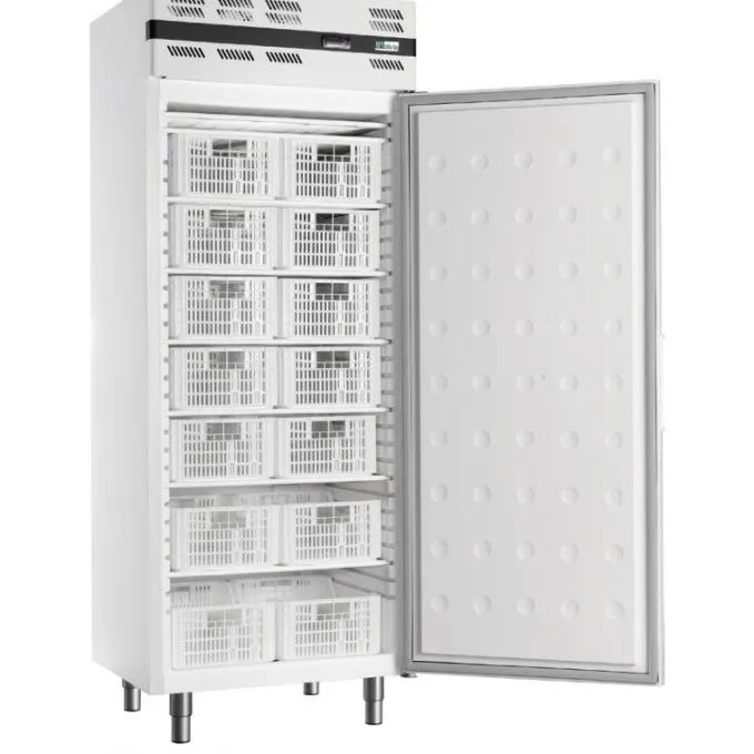 Armoire Réfrigérée Négative Blanche Porte Pleine et Groupe Logé 535 Litres - AFI Collin Lucy