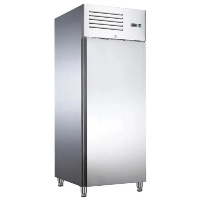 Armoire Réfrigérée Négative Inox GN 2/1 Evaporateur Ventilé - 650 L - Furnotel