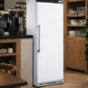 Armoire Réfrigérée Positive Laquée avec Porte Pleine - 350 L - AFI Collin Lucy