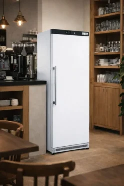Armoire Réfrigérée Positive Laquée avec Porte Pleine - 350 L - AFI Collin Lucy