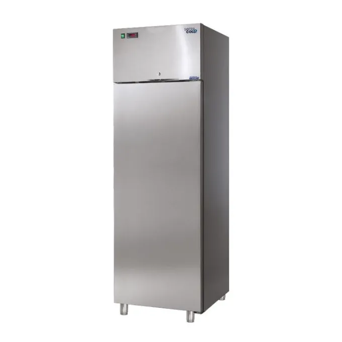 Armoire Réfrigérée Positive - Porte Pleine - 270 L - Sofraca