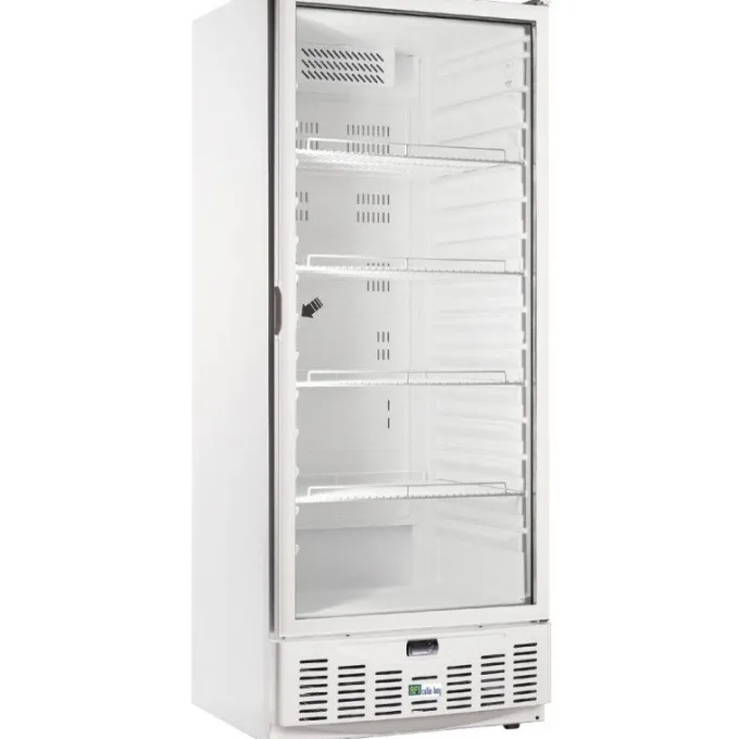 Armoire Réfrigérée Positive Skinplate avec Porte Vitrée - 540 L - AFI Collin Lucy