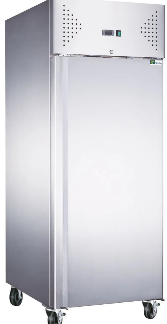 Armoire Réfrigérée Positive Série Star - 600 L - AFI Collin Lucy