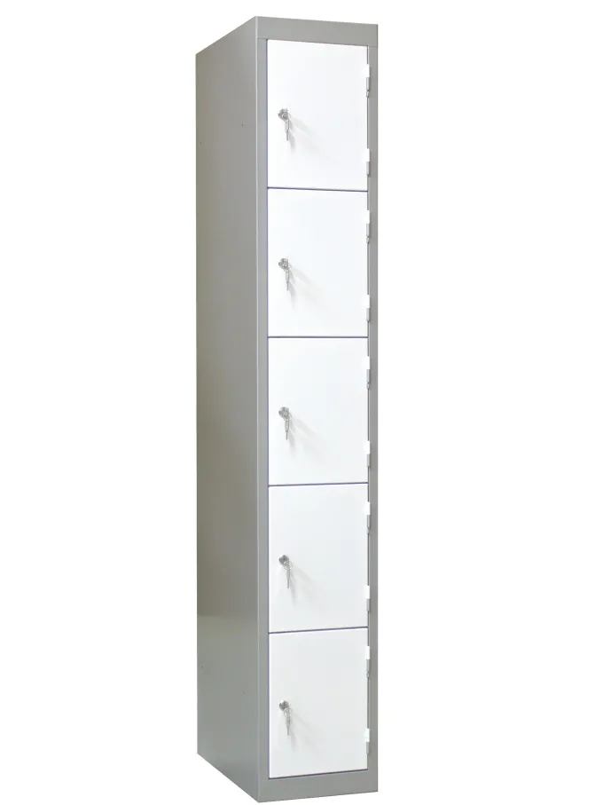 Armoire Vestiaire 1 Colonne 5 Casiers - L 300 mm