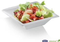 Assiette Creuse en Pulpe de Cellulose Elégance 450 ml - SDG - Lot de 500