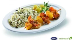 Assiette Jetable Pulpe de Cellulose 26x19 cm - SDG - Lot de 500