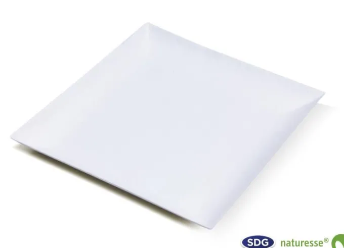Assiette Plate Pulpe de Cellulose Elégance 18x18 cm - SDG - Lot de 400