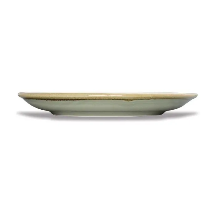 Assiette Plate Ronde Couleur Mousse 230 mm - Lot de 6