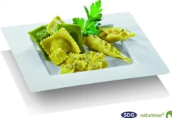 Assiette Pulpe de Cellulose Elégance 22,4x22,4 cm - SDG - Lot de 350