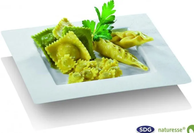 Assiette Pulpe de Cellulose Elégance 22,4x22,4 cm - SDG - Lot de 350