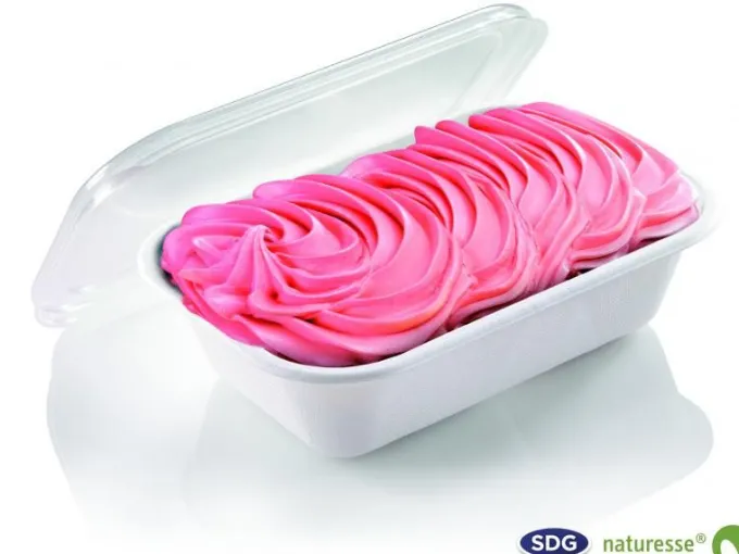 Barquette Rectangulaire Pulpe de Cellulose Biodégradable 1000 ml - SDG - Lot de 250 - 12859-Box