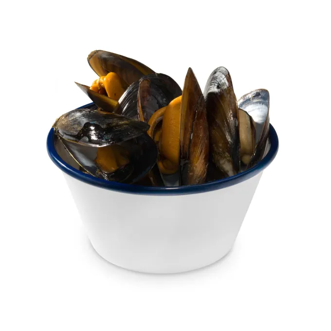 Bol Méditerranéen Mélamine Ø 12,5 cm - Pujadas