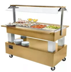 Buffet Professionnel Bacs GN1/1 Roller Grill
