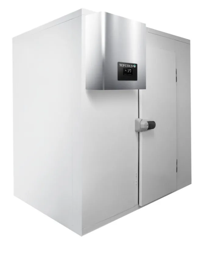 Chambre froide CRPF1212 L 1200 x P 1200 mm - Tefcold