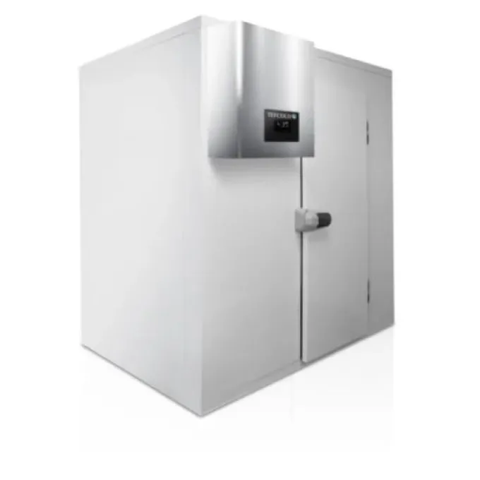 Chambre Froide Négative CRNF2121 - L 2100 x P 2100 mm - Tefcold