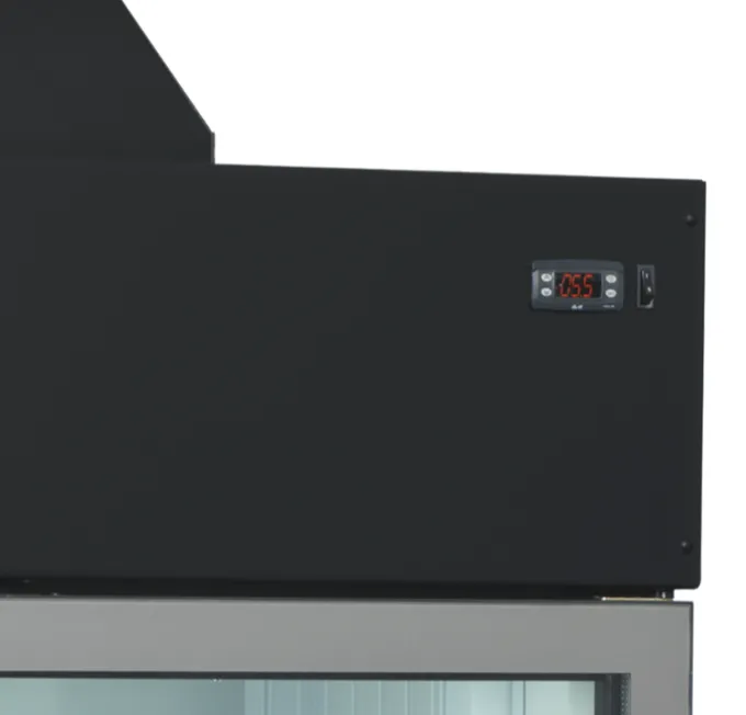 Congélateur Armoire pour Supermarché MTF250B - TEFCOLD