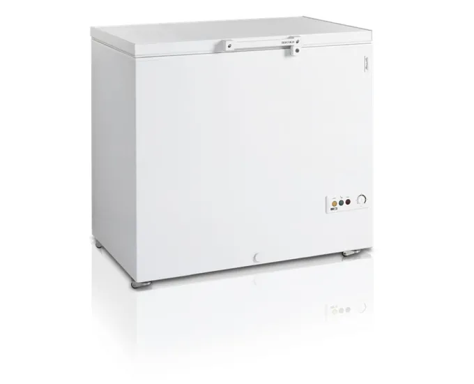 Congélateur Coffre FR305 - TEFCOLD