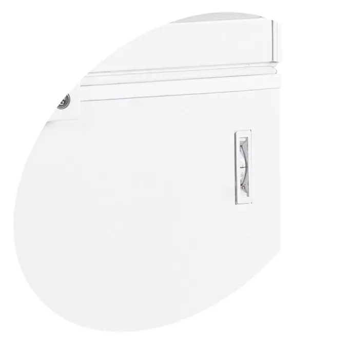 Congélateur Coffre FR305 - TEFCOLD