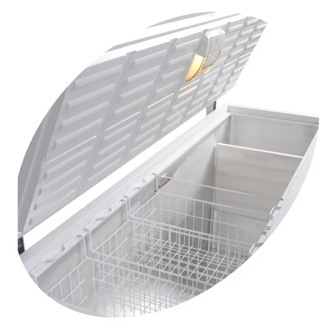 Congélateur Coffre FR605 - TEFCOLD