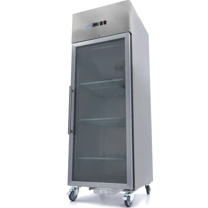 Congélateur - 600 L - 3 Étagères Réglables (2/1 GN) - Porte en Verre - Maxima