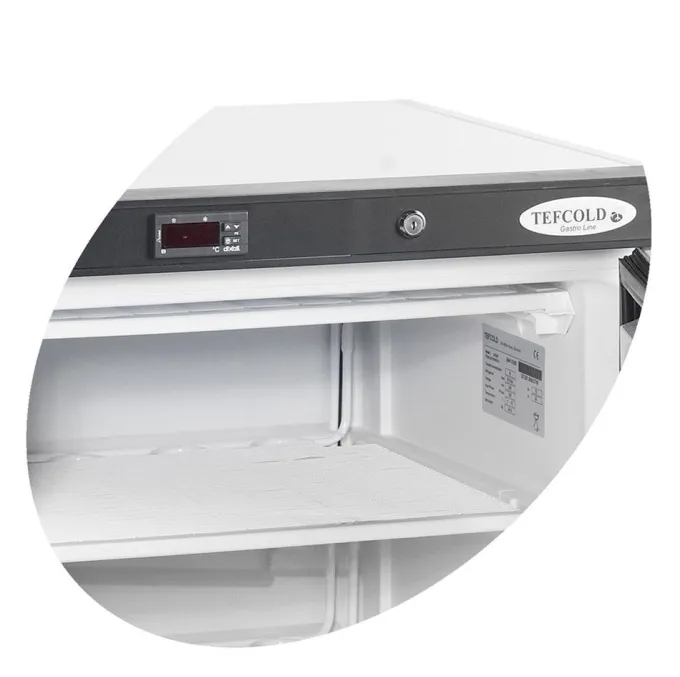 Congélateurs Armoire Professionnelle de Stockage UF200 - TEFCOLD