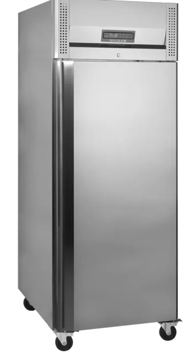 Congélateur Vertical Professionnel Acier Inoxydable BF850I - Tefcold