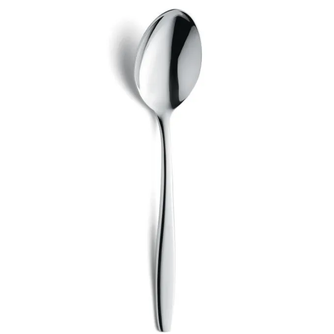Cuillère de Table pour Restaurant Inox 200 mm Lot de 12 Amefa Florence