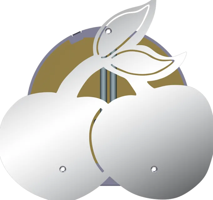 Désinsectiseur Eco-Inox décoratif - cerises - Fricosmos