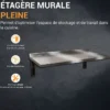Etagères murale inox pleine console fixe - L2G