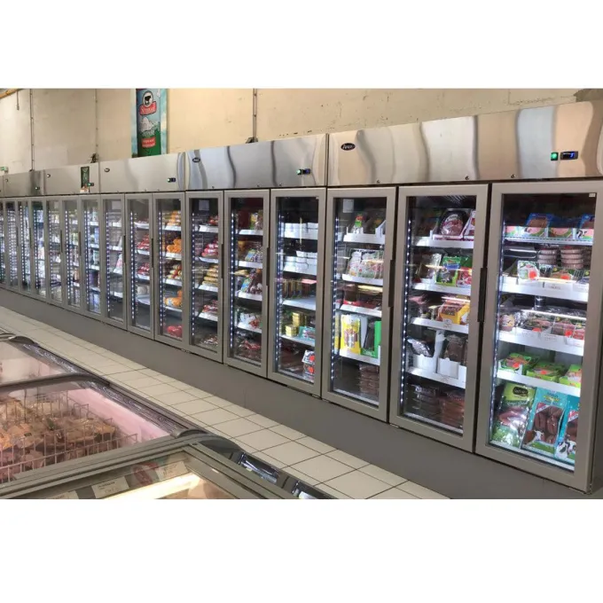 Frigo Vitré Professionnel 670 Litres Tropicalisé - Atosa
