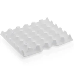 Insert de remplacement pour Boîte à Œufs 8623120 en Polystyrène - Lot de 4 - Was Germany