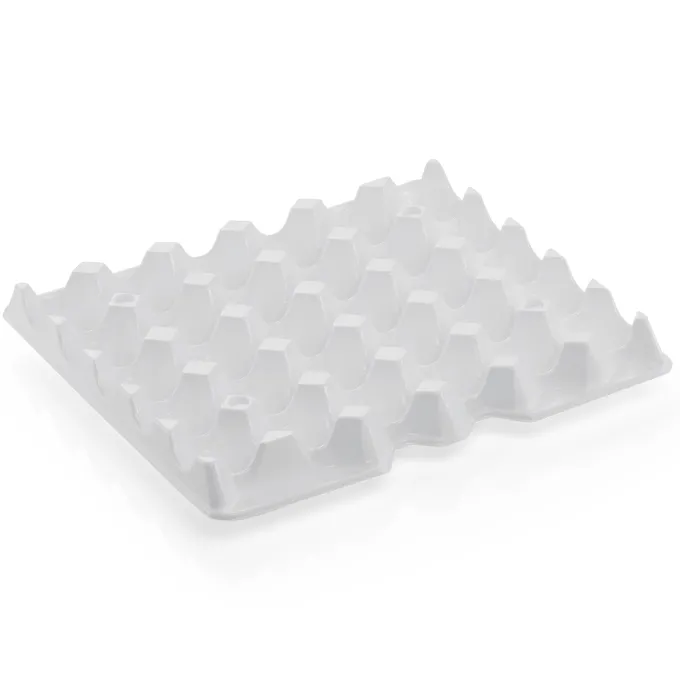 Insert de remplacement pour Boîte à Œufs 8623120 en Polystyrène - Lot de 4 - Was Germany