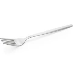 Lot de 12 Fourchettes à dîner NP80 ECO en Acier Chrome L 190 mm - Was Germany
