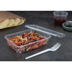 Lot de 250 Récipients en plastique pour micro-ondes