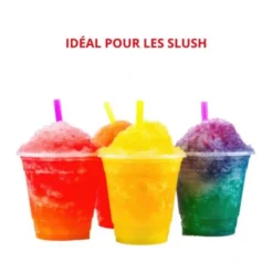 Machine à Granité/Slush sur Comptoir 1 Parfum 1 Cuve de 15 Litres - Spaceman