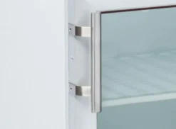 Mini Armoire Réfrigérée Porte Vitrée 200 L - Cool Head