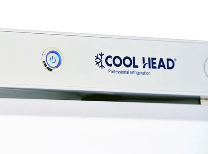 Mini Armoire Réfrigérée Porte Vitrée 200 L - Cool Head
